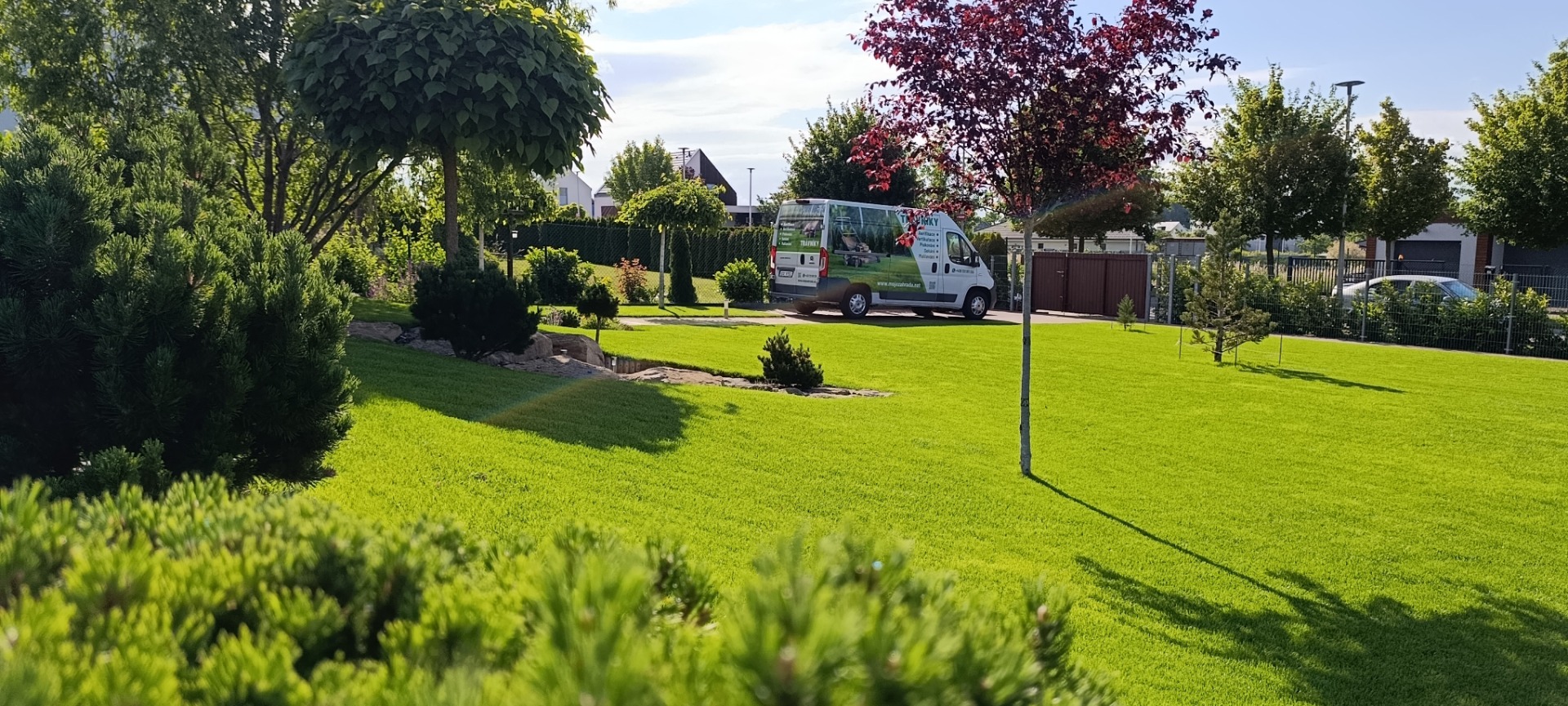 Hustý zelený trávník po renovaci a odborném ošetření